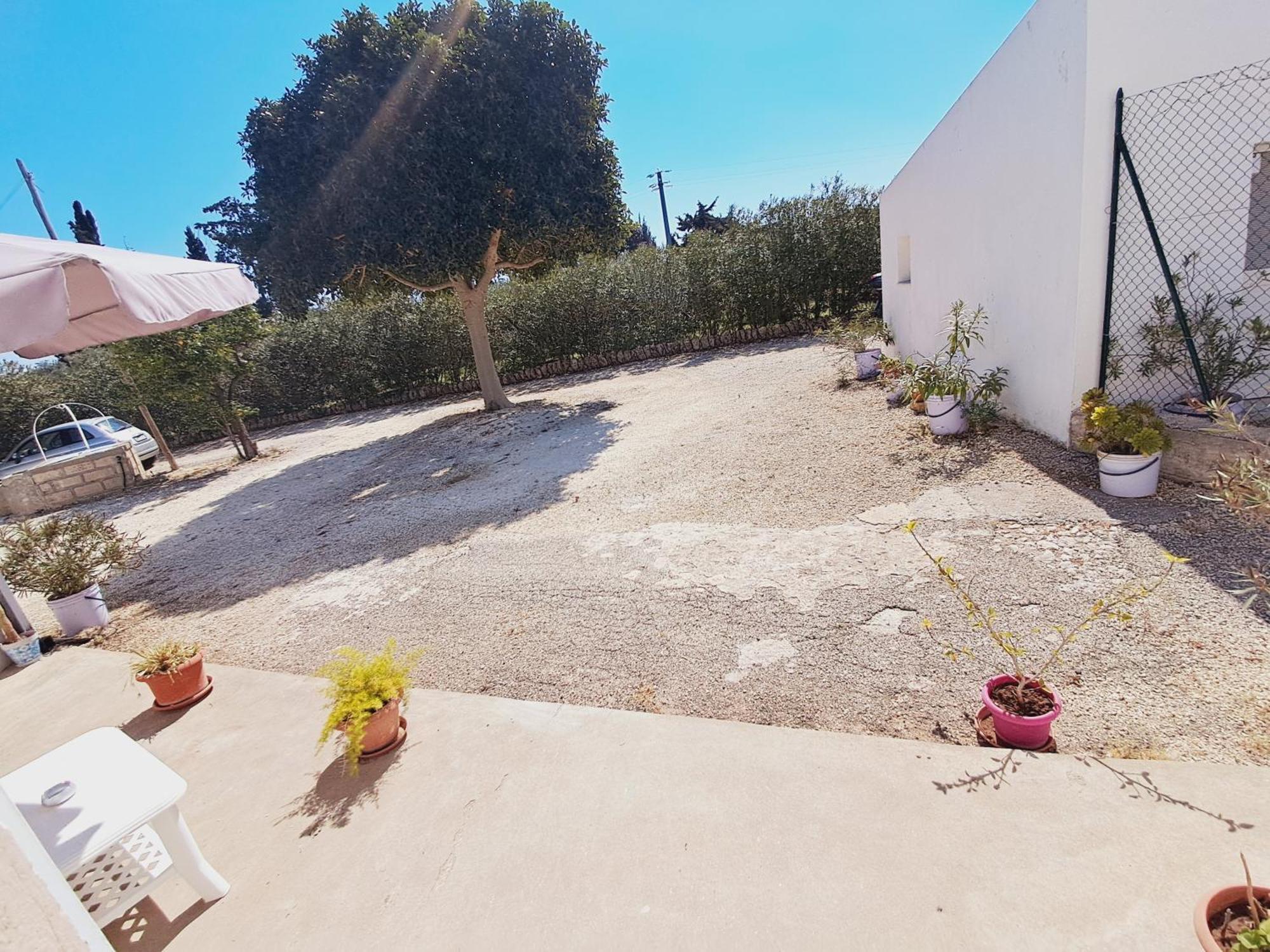 Hibiscus Siracusa Szirakúza Kültér fotó